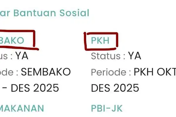 cek bansos pkh