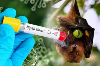virus nipah