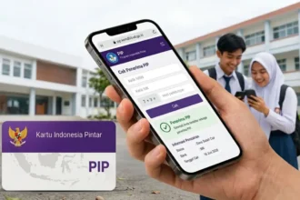 cara cek pip lewat hp tanpa nisn
