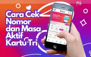 cara cek nomor tri