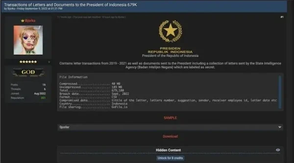 contoh cyber crime