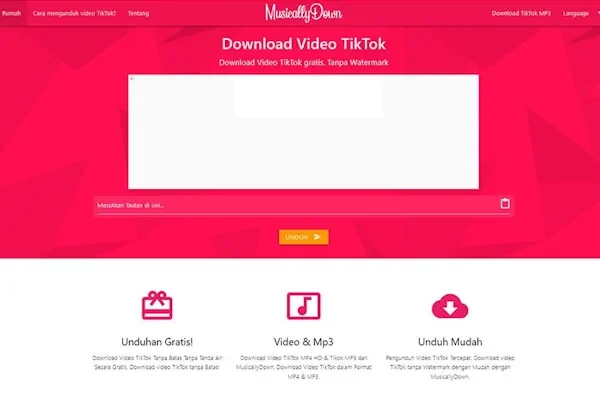 musicallydown tiktok downloader