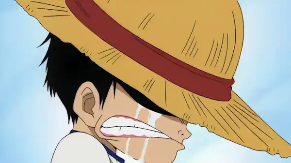 spoiler one piece 1146