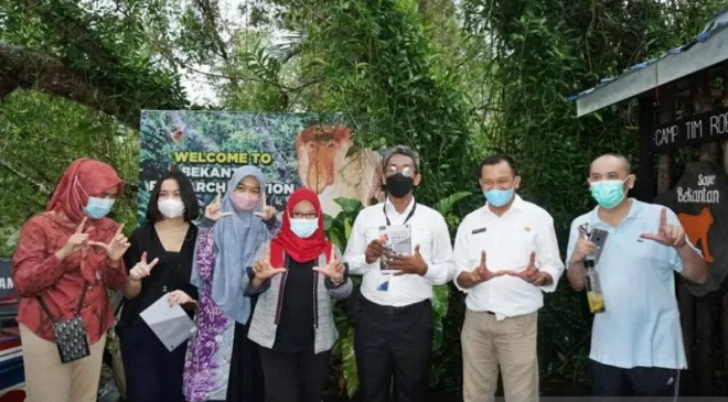 anjir muara