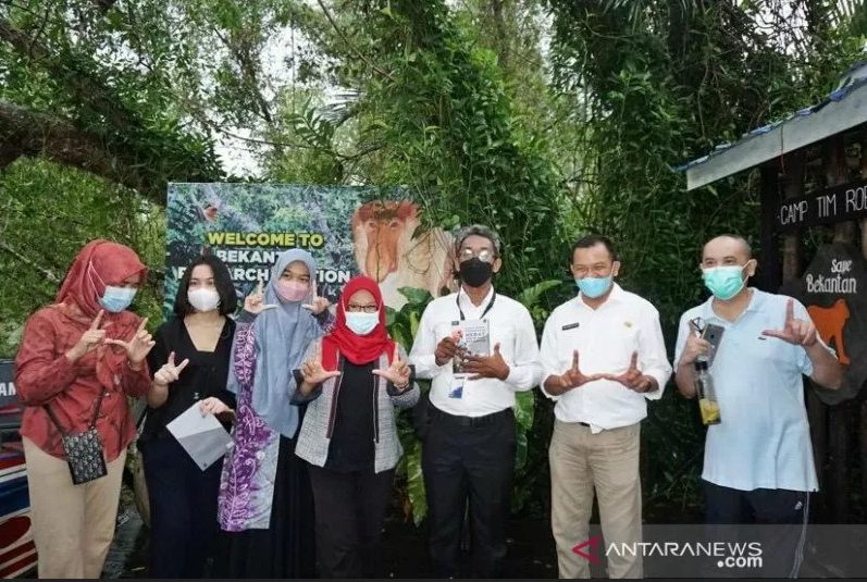 anjir muara