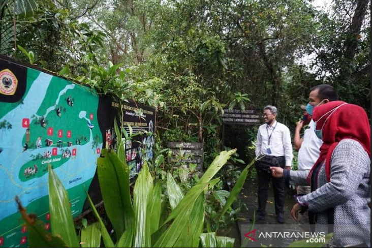 desa wisata anjir muara